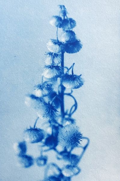image-90.JPG